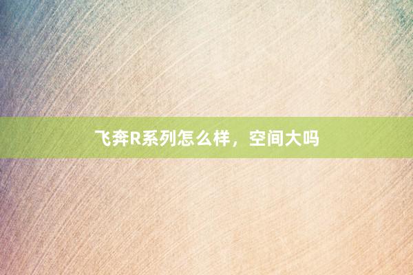 飞奔R系列怎么样，空间大吗
