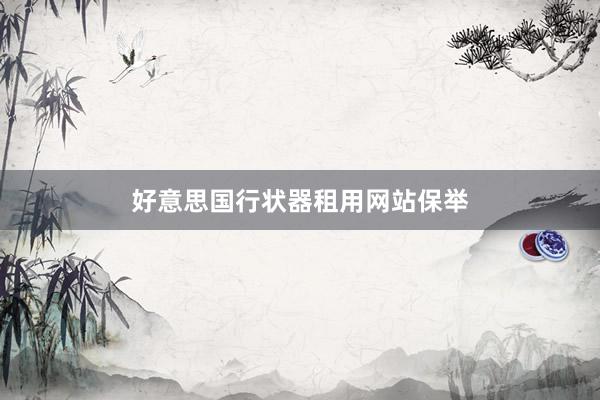 好意思国行状器租用网站保举