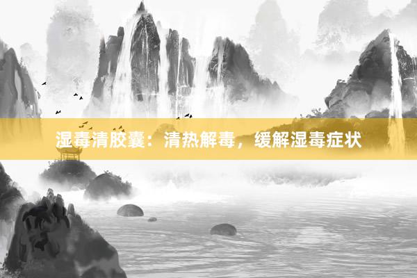 湿毒清胶囊：清热解毒，缓解湿毒症状