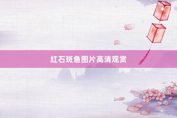 红石斑鱼图片高清观赏